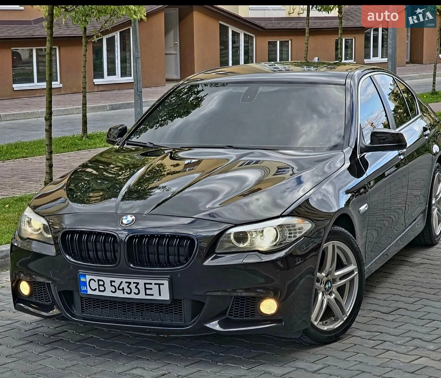 2010 BMW 5er - мініатюра 21