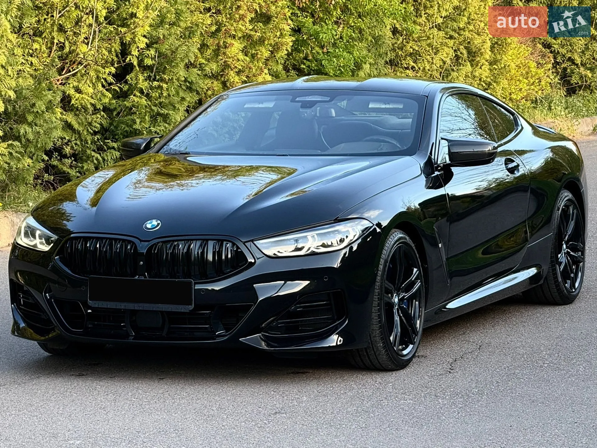 2019 BMW 8er - мініатюра 6