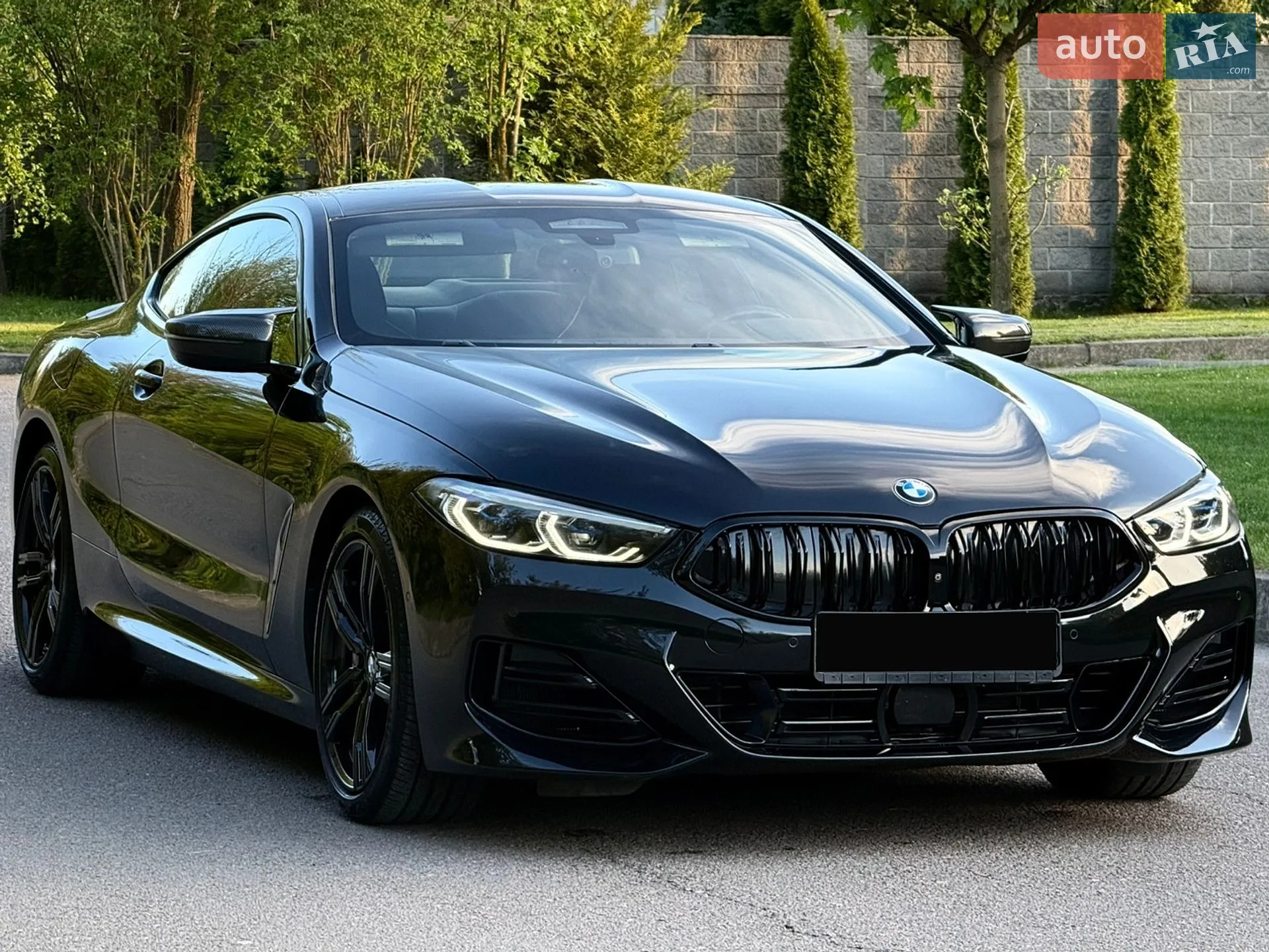 2019 BMW 8er - мініатюра 23