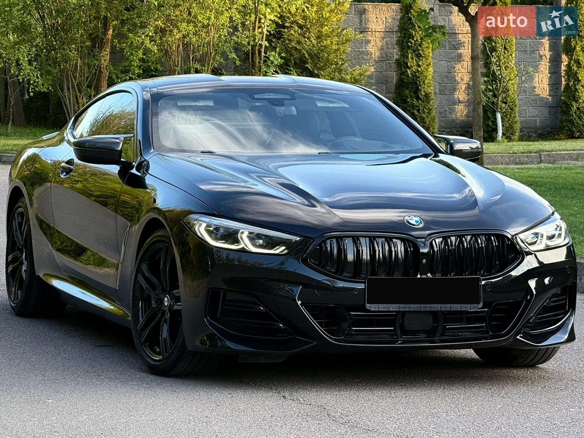 2019 BMW 8er - мініатюра 81