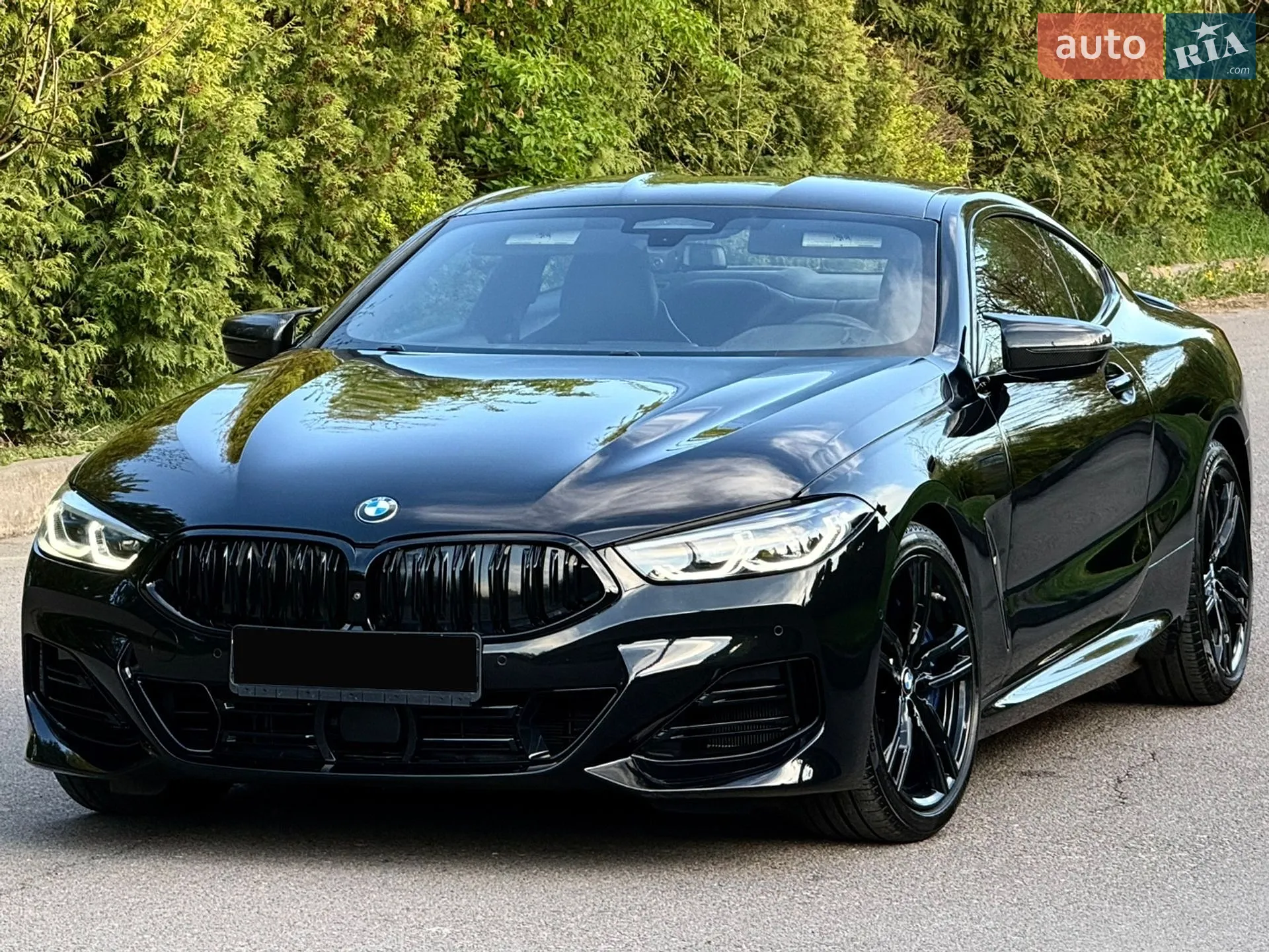 2019 BMW 8er - мініатюра 88