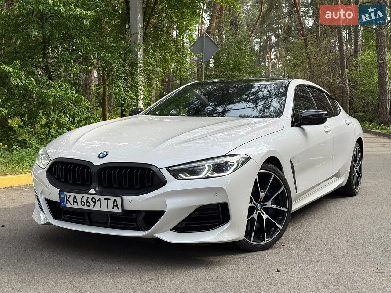 2019 BMW 8er - мініатюра 59
