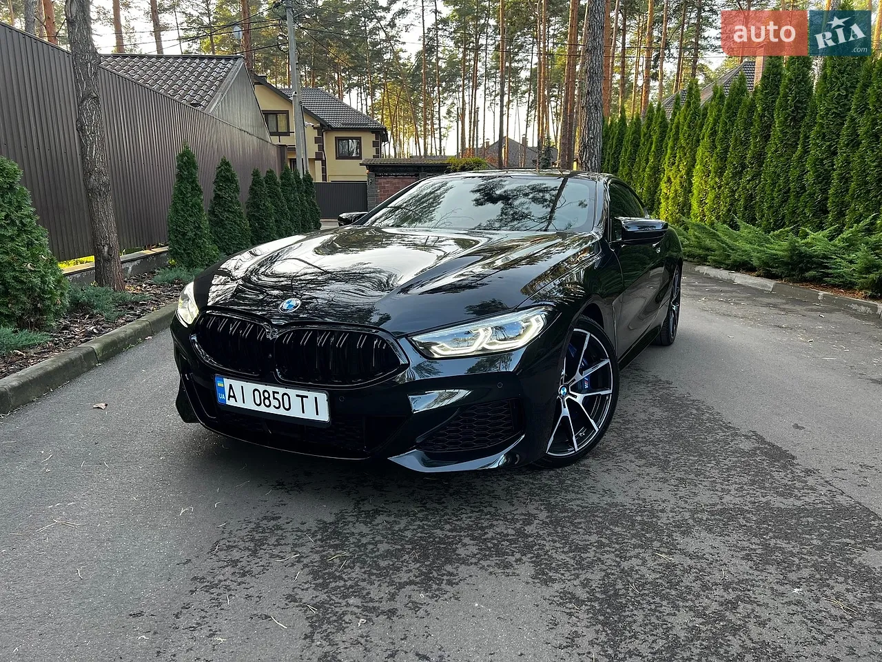 2019 BMW 8er - мініатюра 61