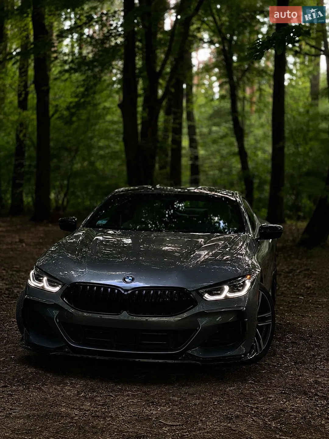 2021 BMW 8er - мініатюра 2
