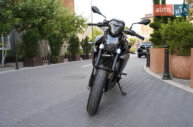 Мотоцикл Без обтекателей (Naked bike) BMW F 900R 2021 в 