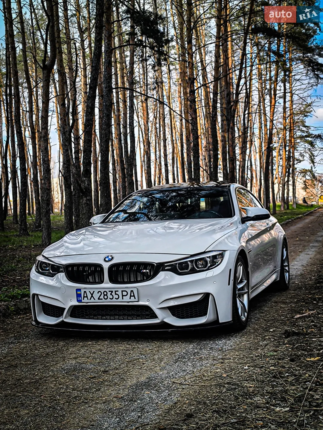 2016 BMW M4 - мініатюра 26