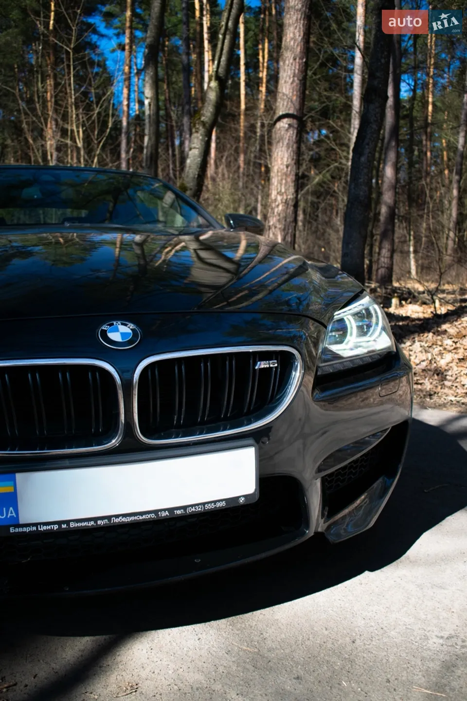 2013 BMW M6 - мініатюра 5