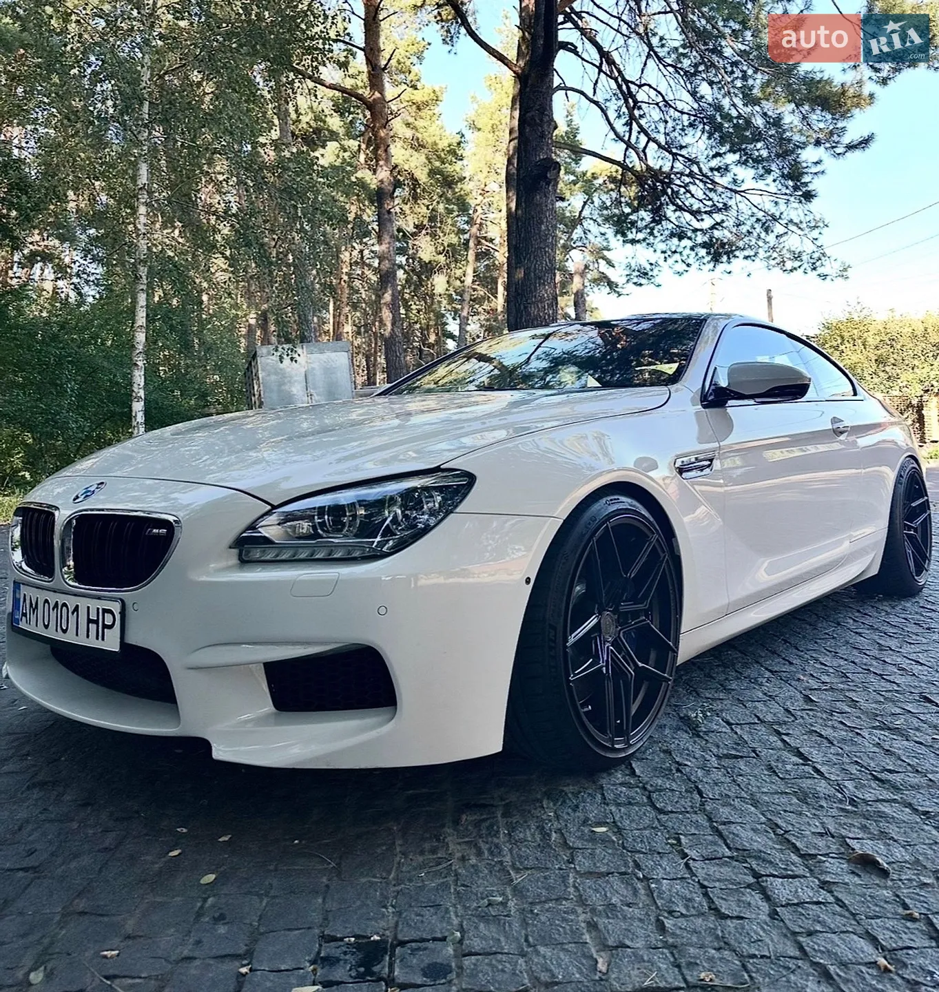 2013 BMW M6 - мініатюра 2