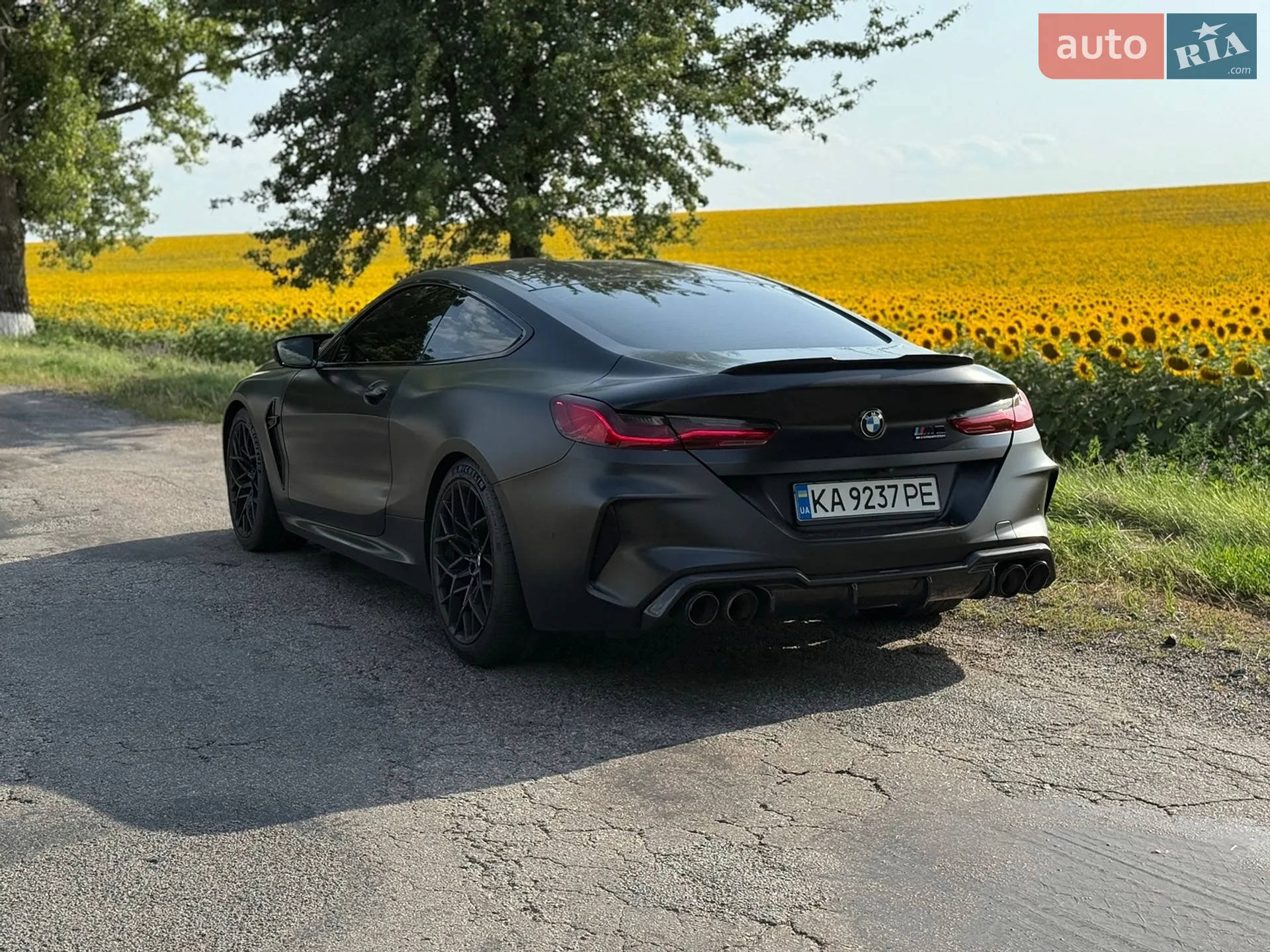 2019 BMW M8 - мініатюра 2