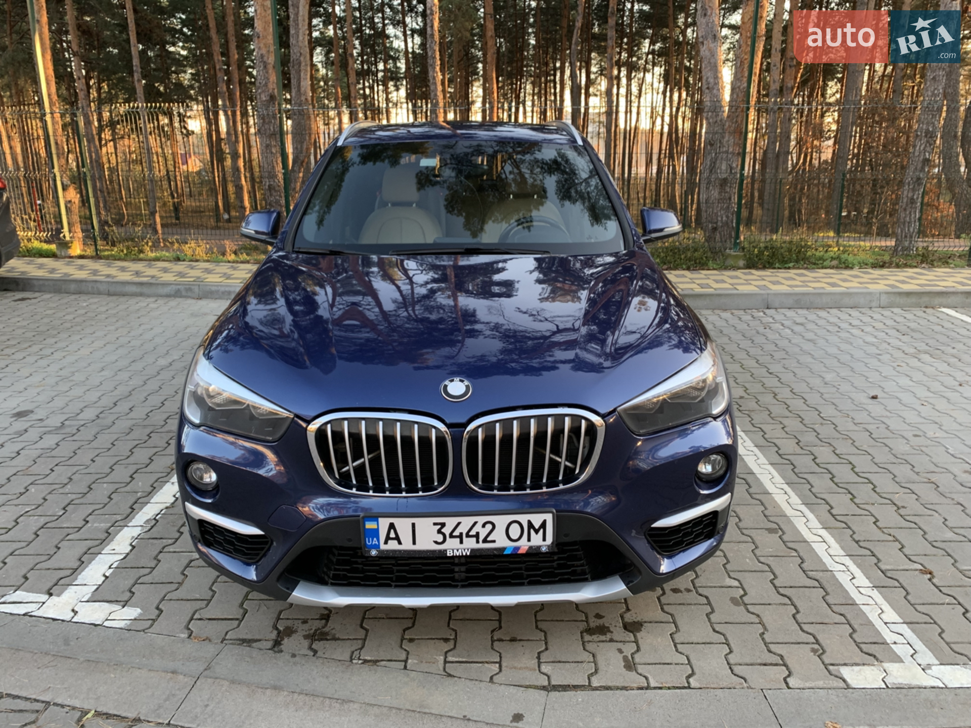 2016 BMW X1 - фото 1
