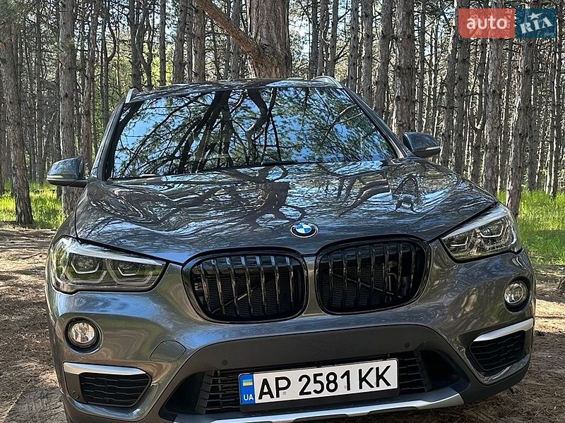 Внедорожник / Кроссовер BMW X1 2018 в Запорожье