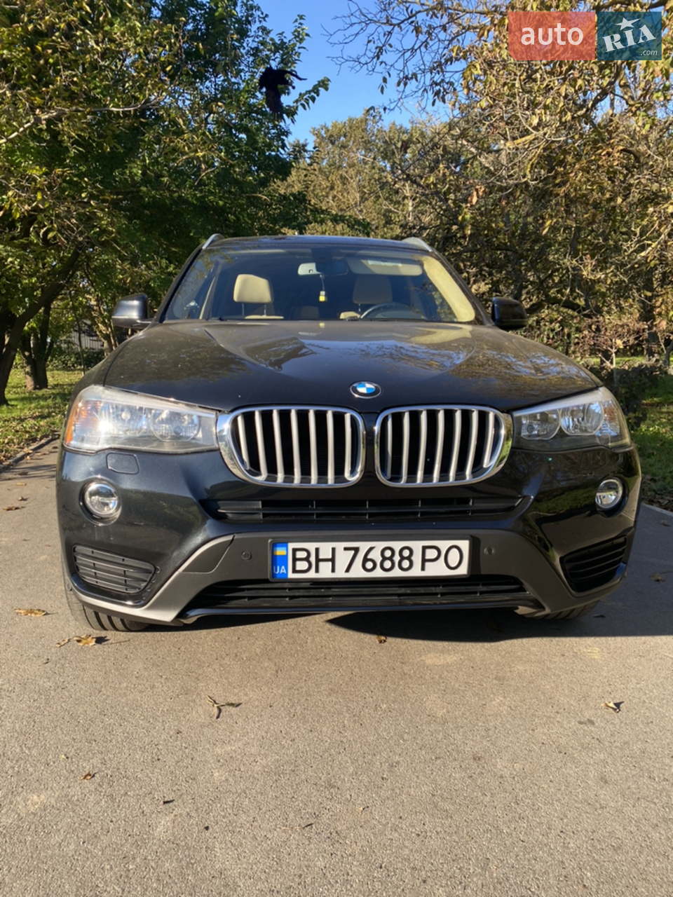 2014 BMW X3 - мініатюра 18