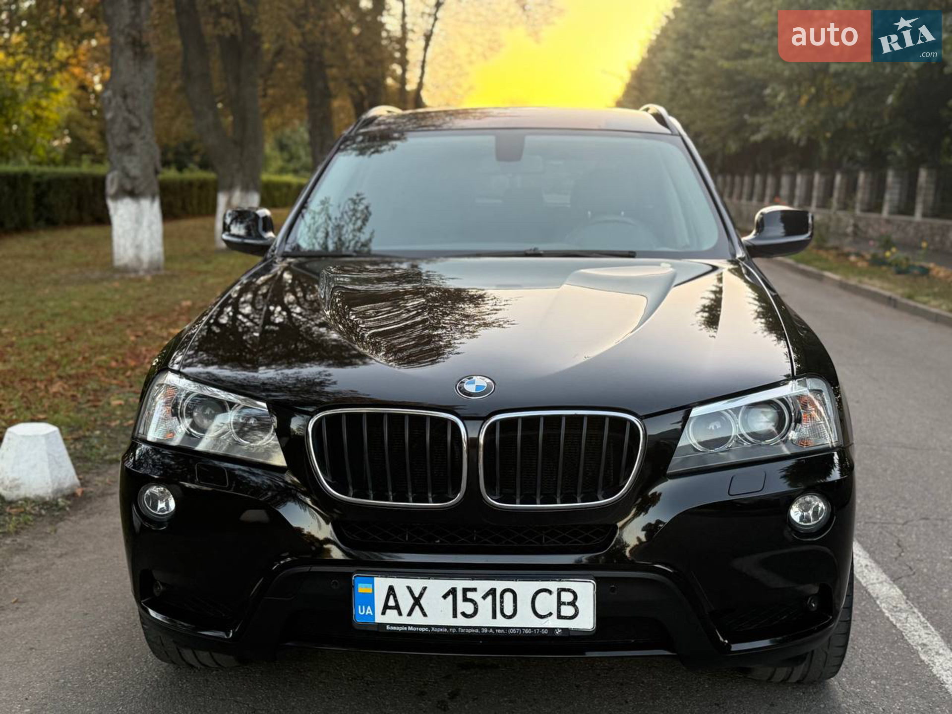 2012 BMW X3 - мініатюра 5