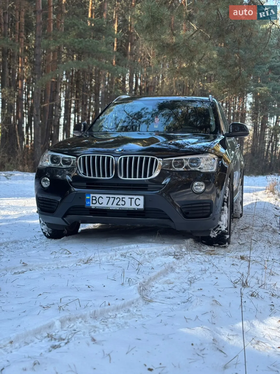 2014 BMW X3 - мініатюра 13