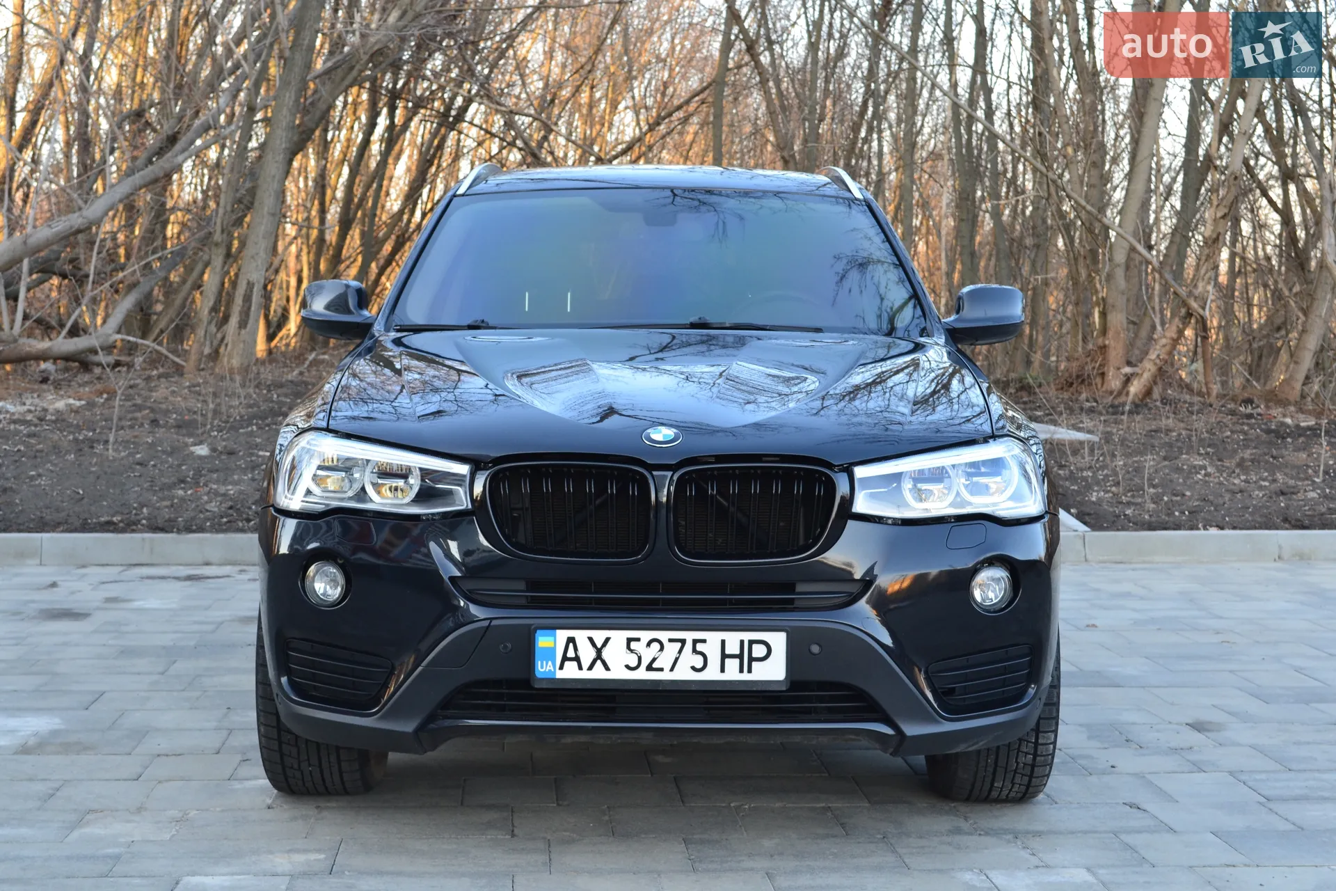 2014 BMW X3 - мініатюра 2