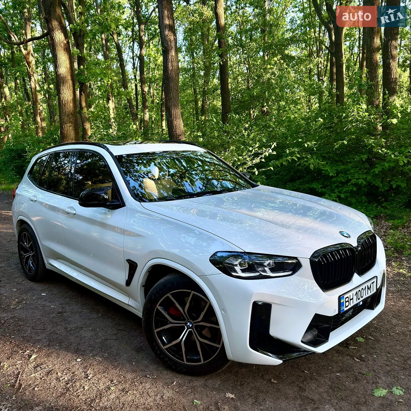 2019 BMW X3 - мініатюра 3