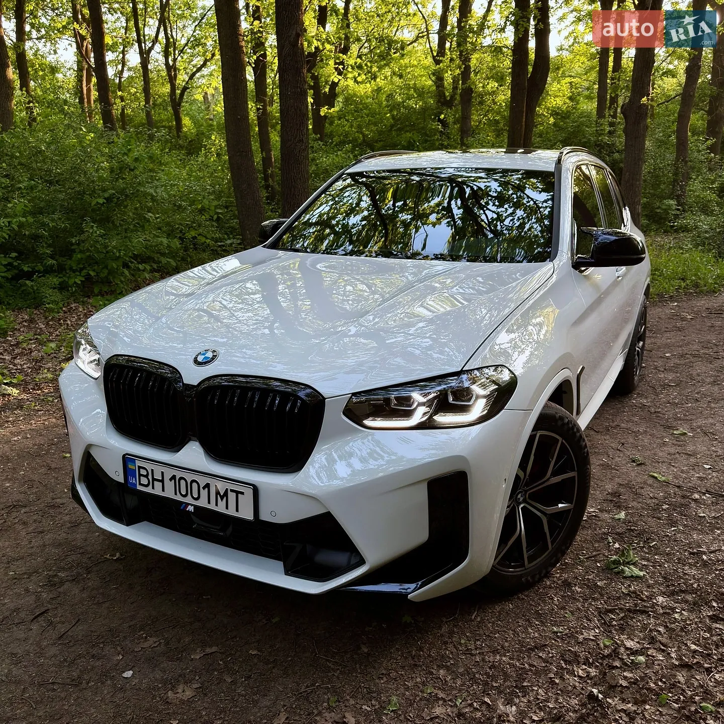 2019 BMW X3 - мініатюра 14