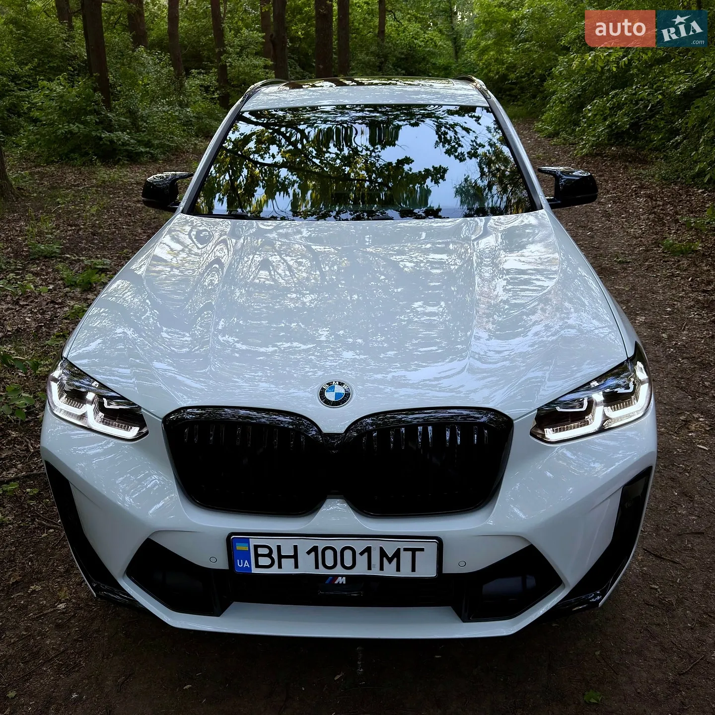 2019 BMW X3 - мініатюра 24