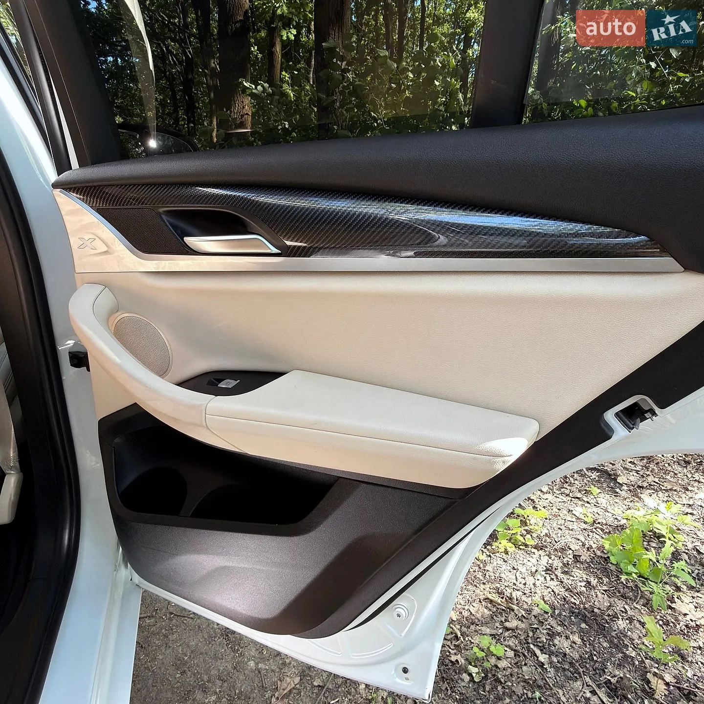 2019 BMW X3 - мініатюра 39