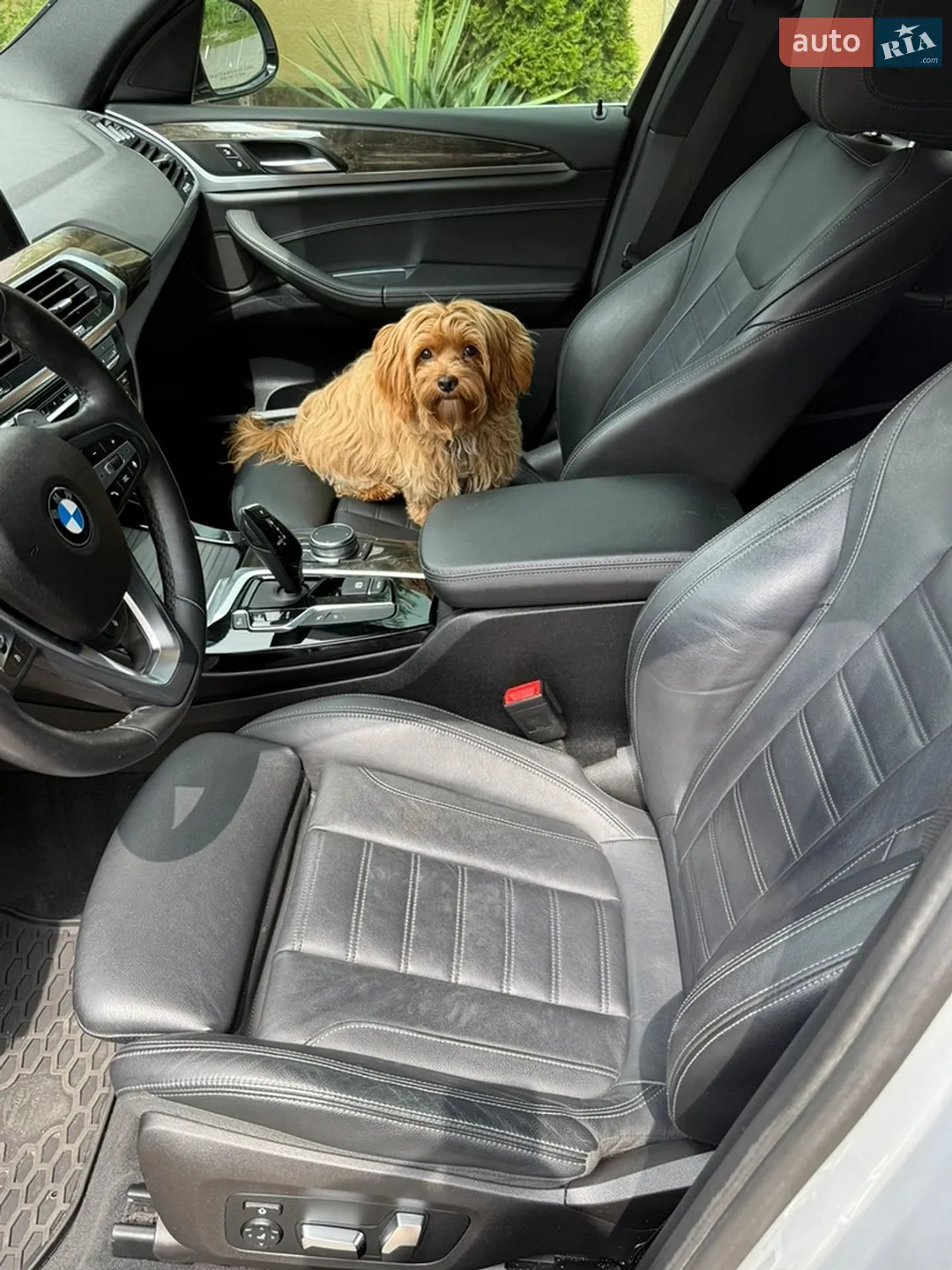 2019 BMW X3 - мініатюра 15