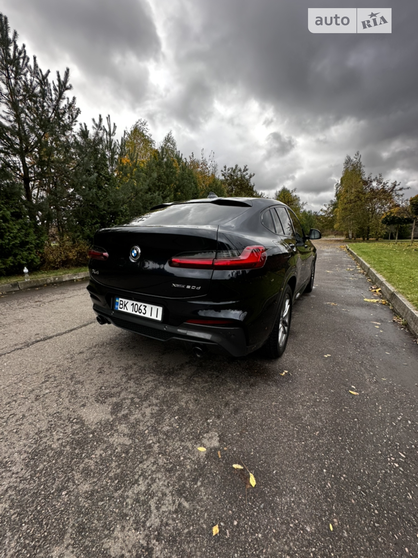 2019 BMW X4 - мініатюра 20