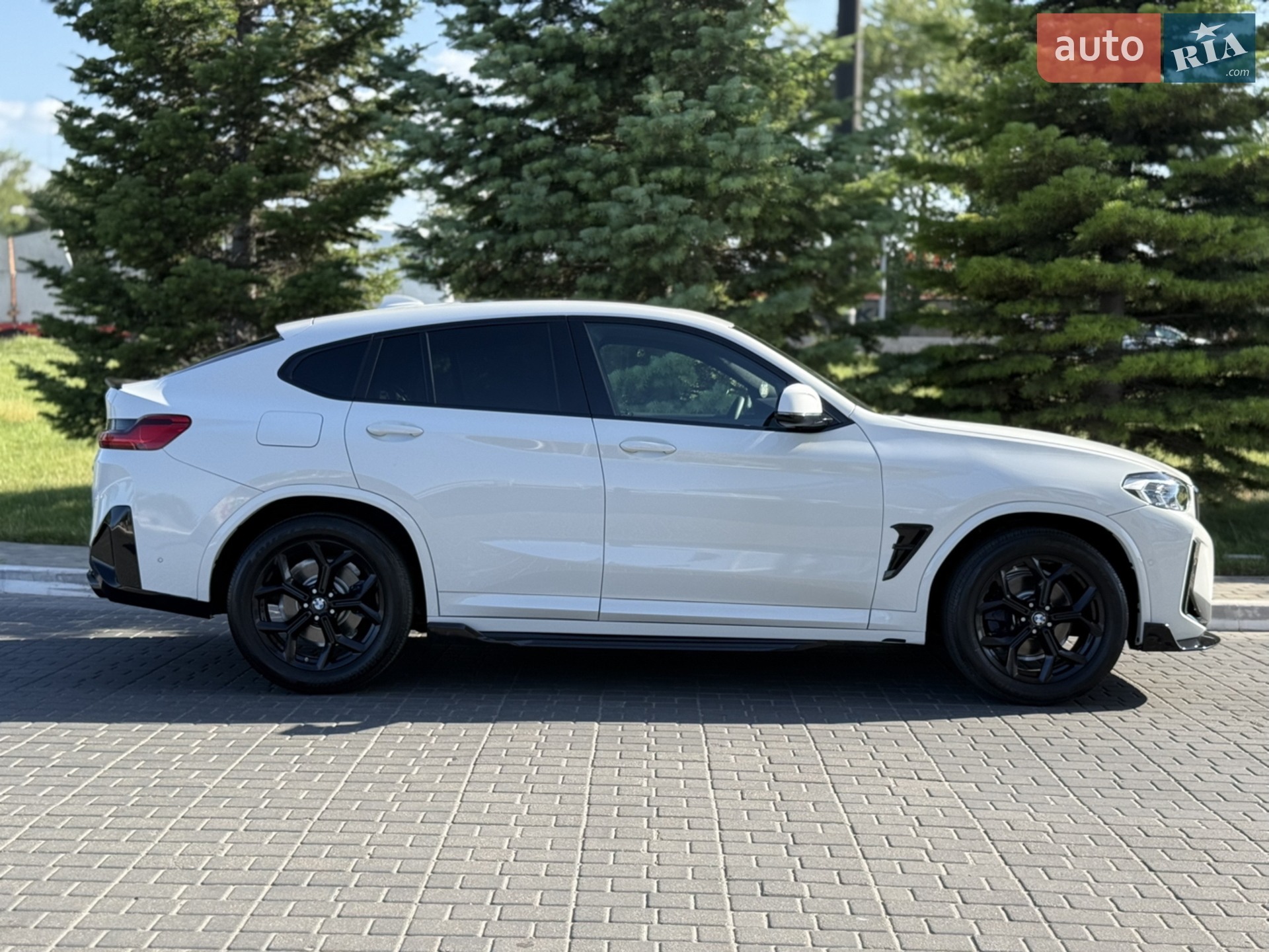 2019 BMW X4 - мініатюра 37
