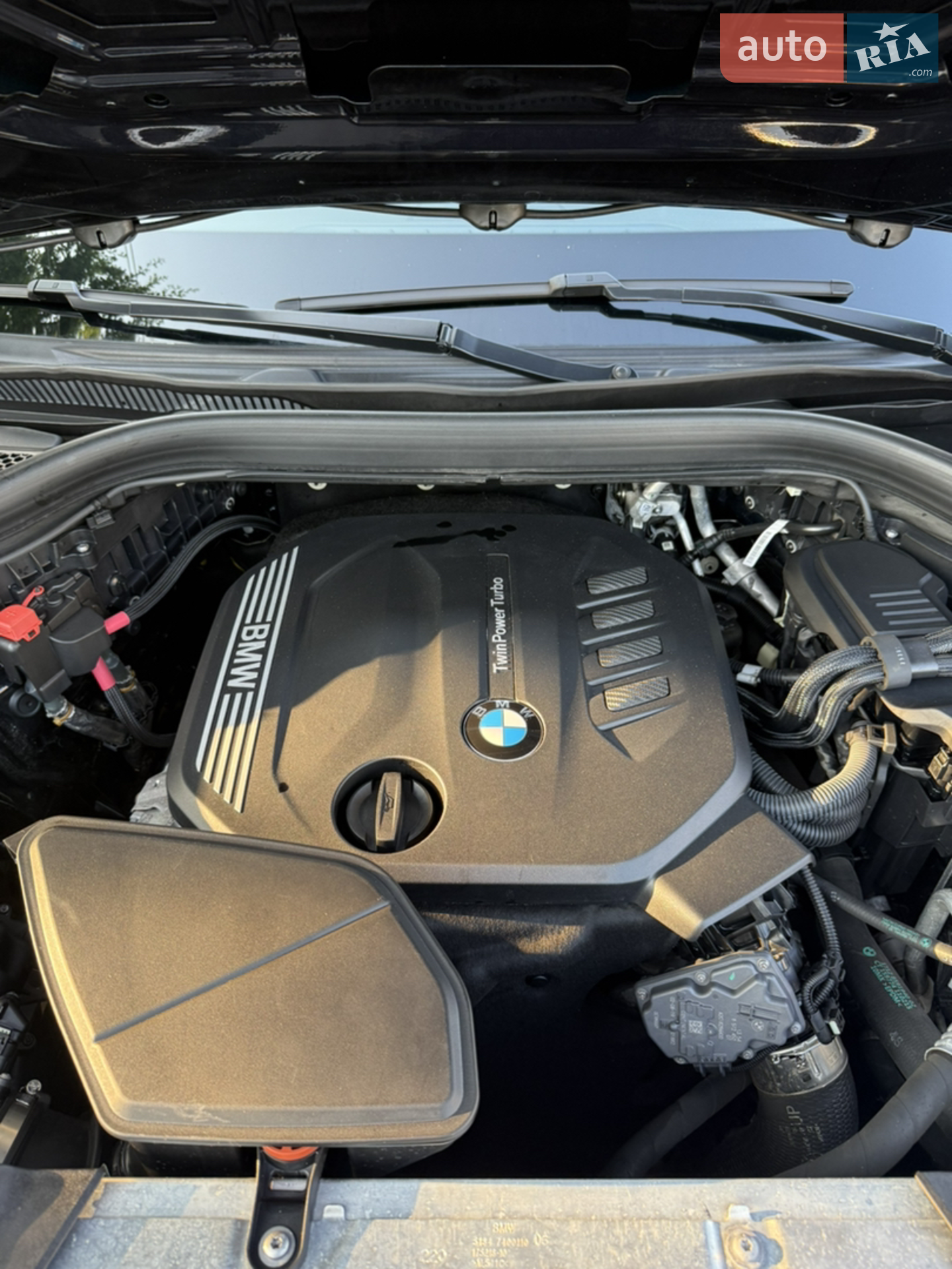 2019 BMW X4 - мініатюра 23
