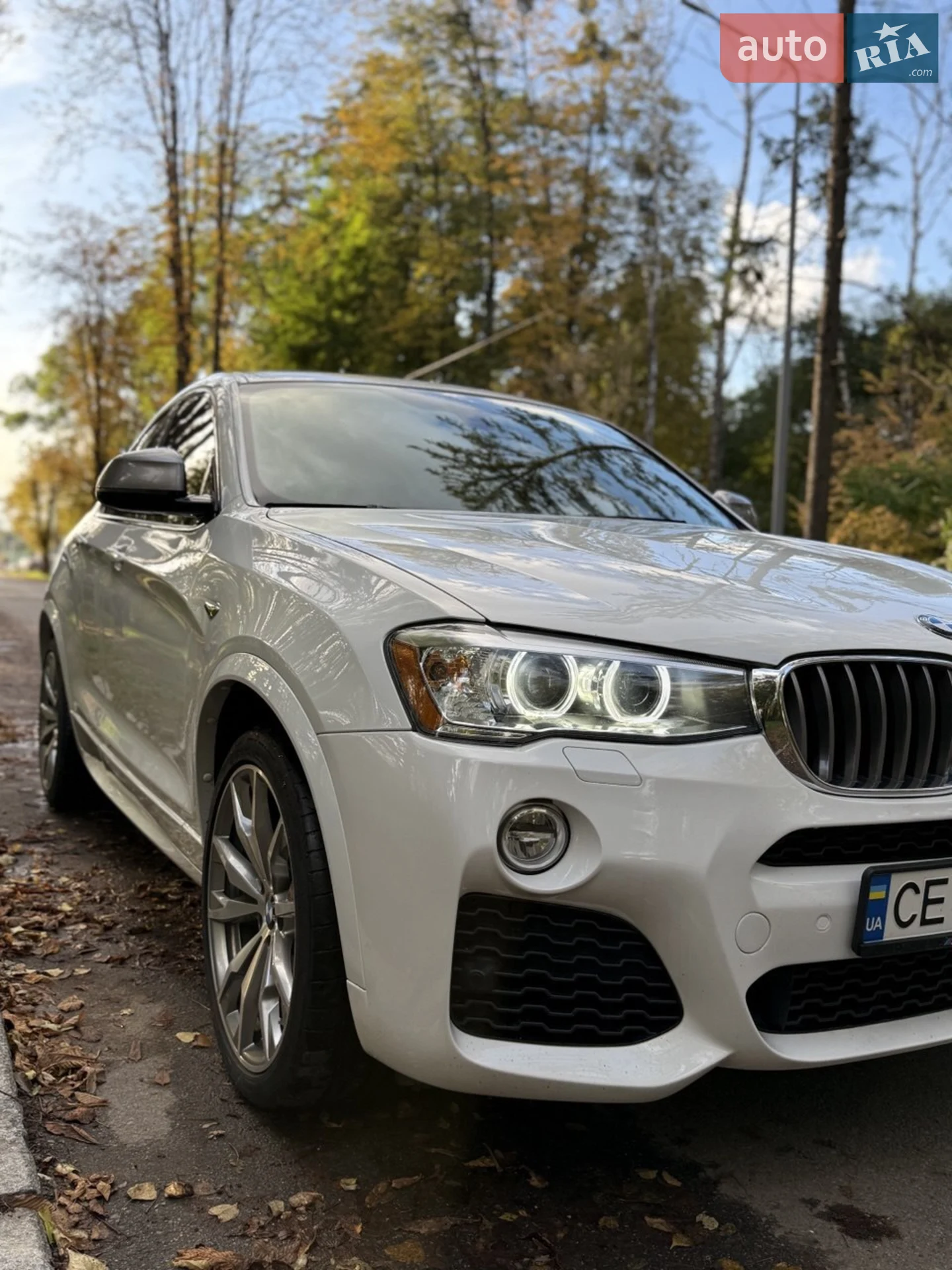2017 BMW X4 - мініатюра 6