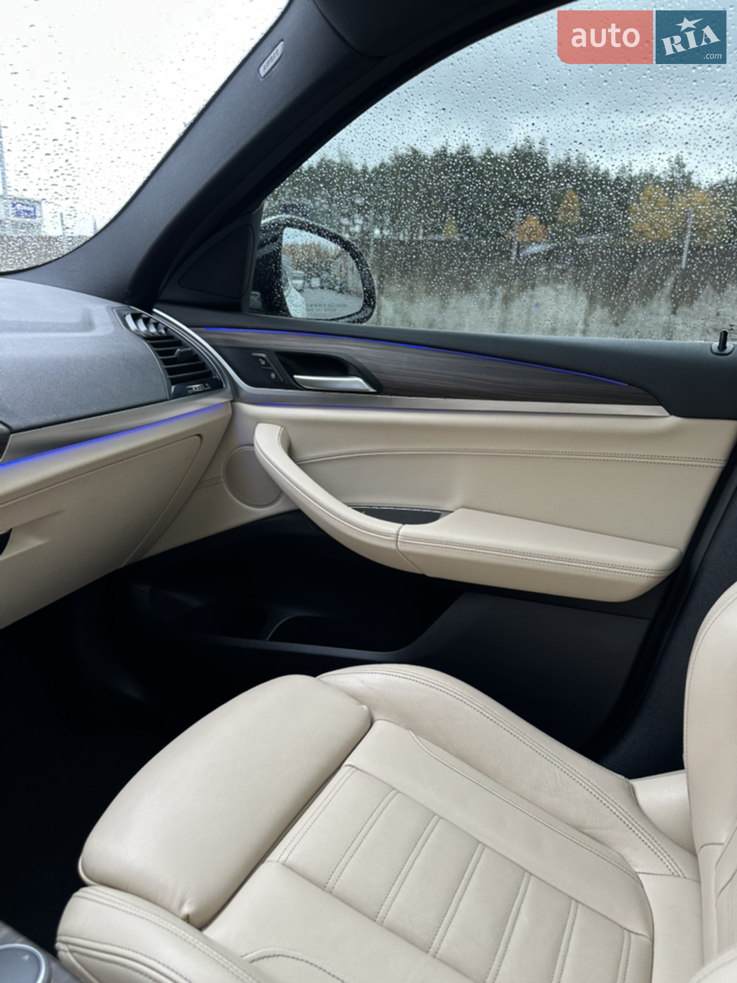 2019 BMW X4 - мініатюра 35