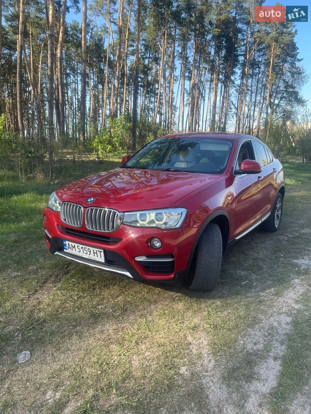 2017 BMW X4 - мініатюра 2