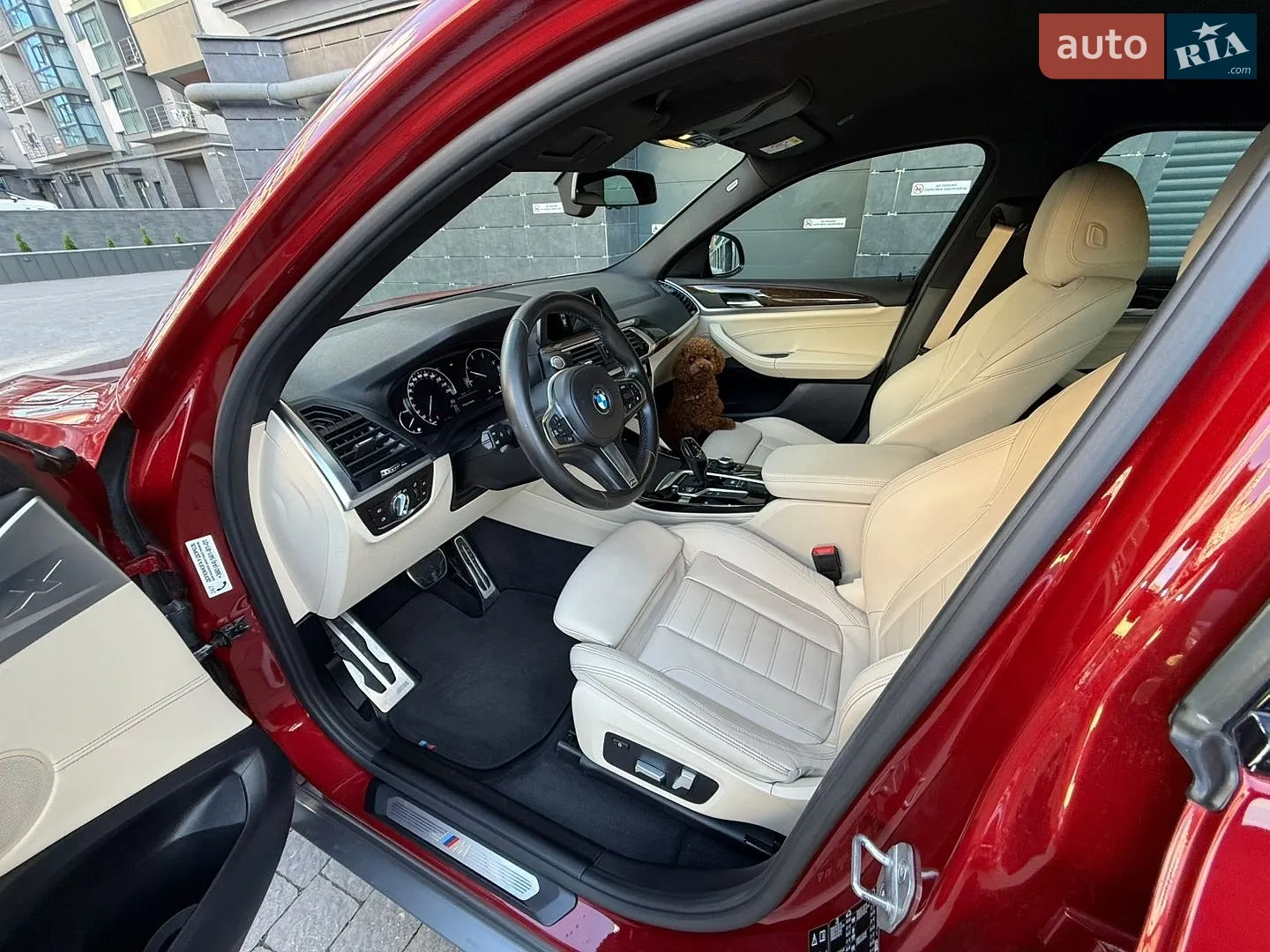 2019 BMW X4 - мініатюра 9