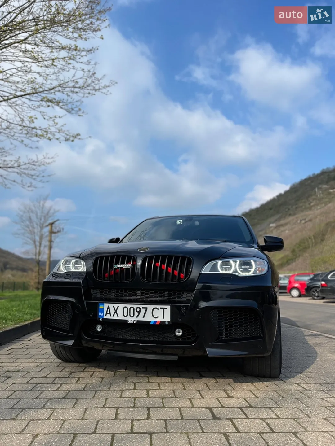 2010 BMW X5 M - мініатюра 2