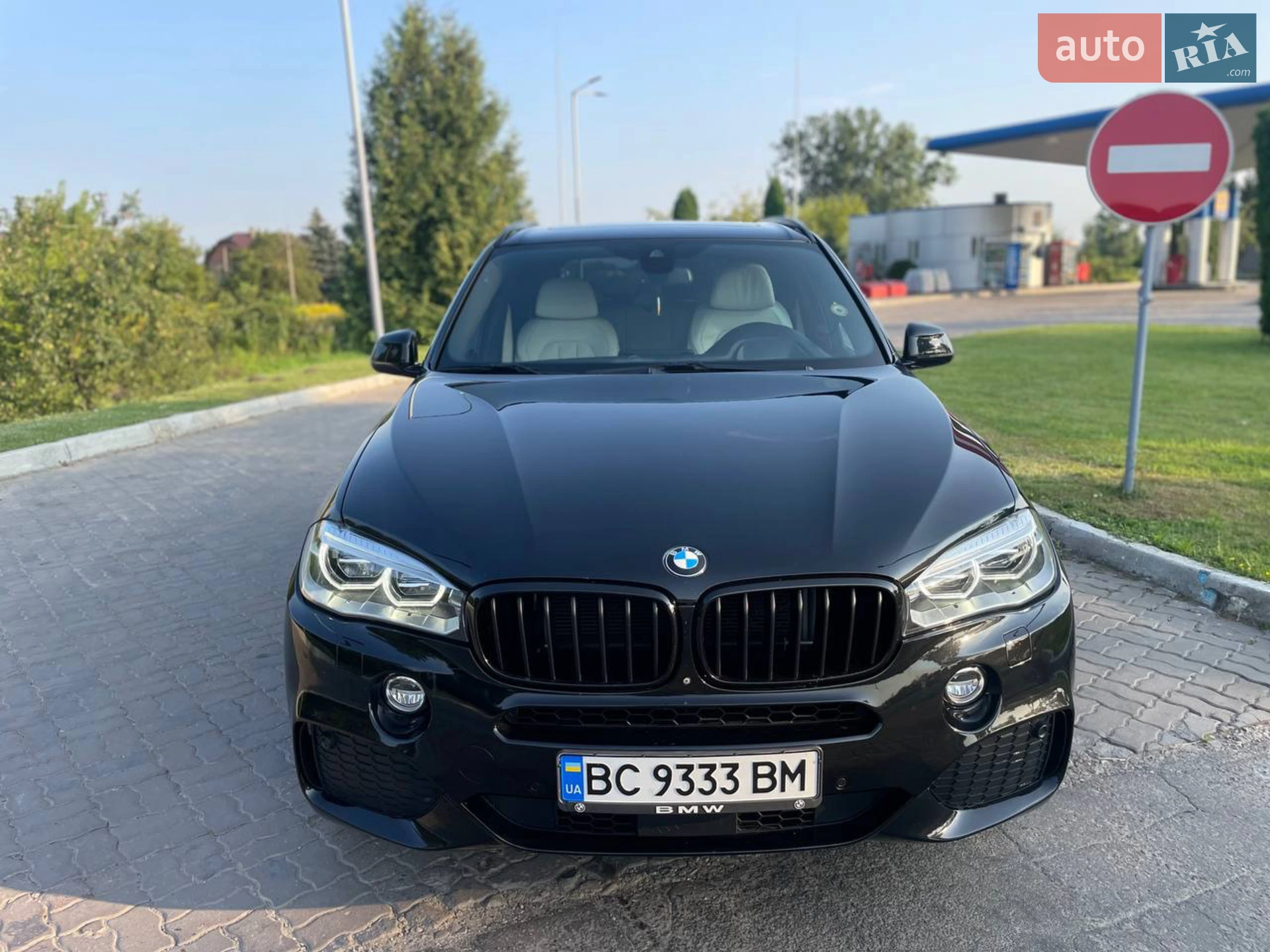 2014 BMW X5 - мініатюра 30