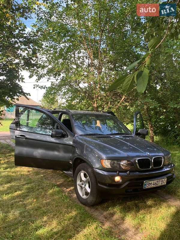Позашляховик / Кросовер BMW X5 2003 в Конотопі