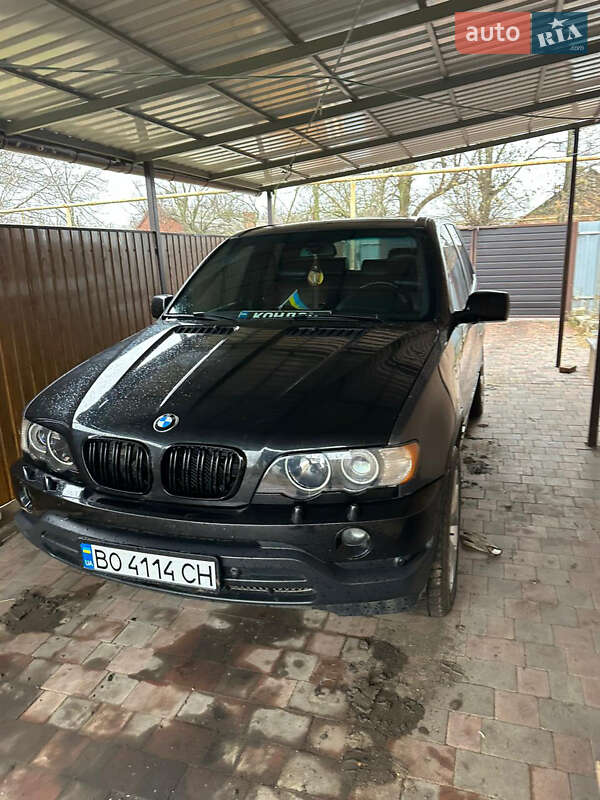 Внедорожник / Кроссовер BMW X5 2002 в Кременце фото 14 Внедорожник / Кроссовер BMW X5 2002 в Кременце