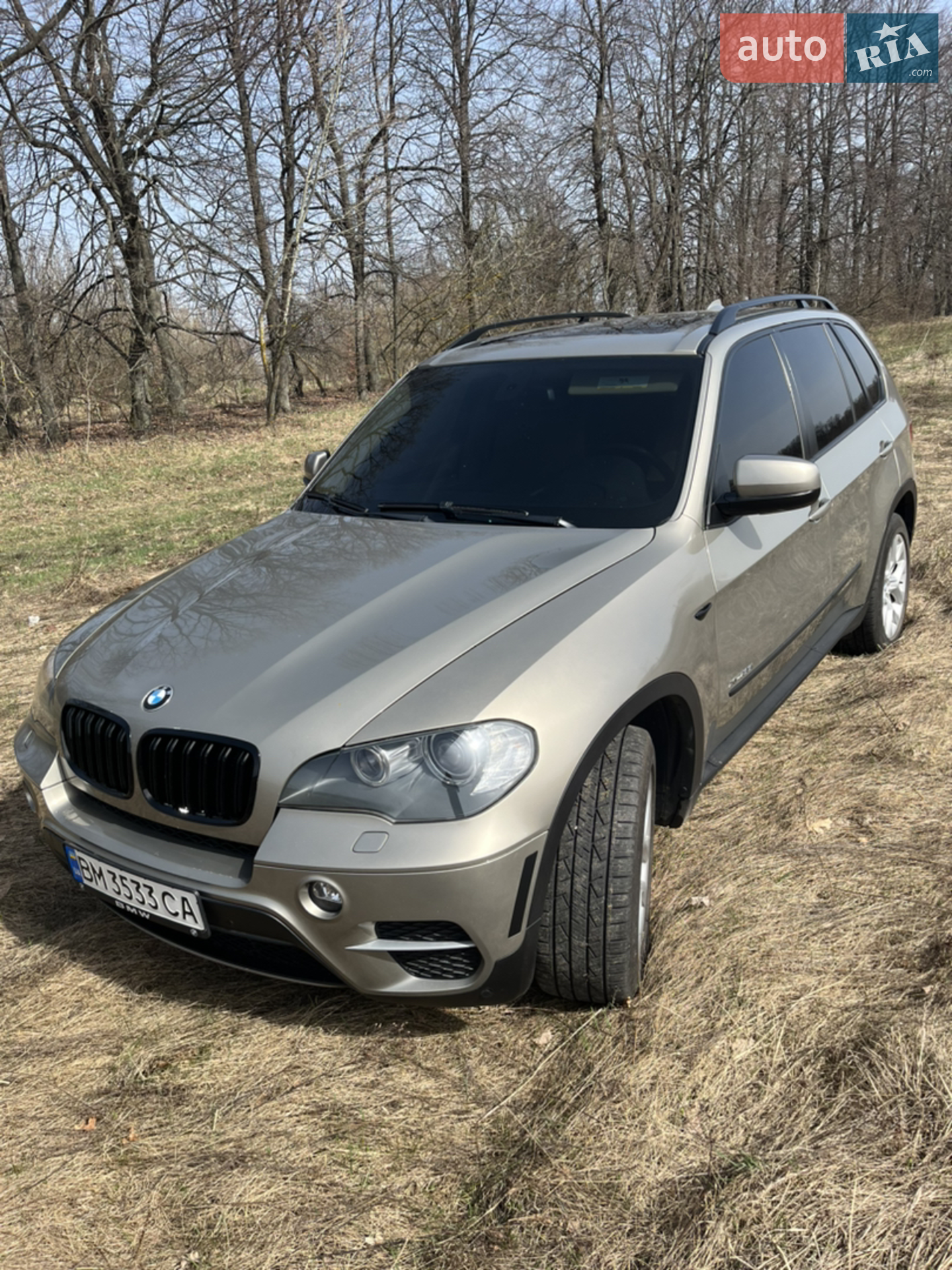 2010 BMW X5 - мініатюра 5