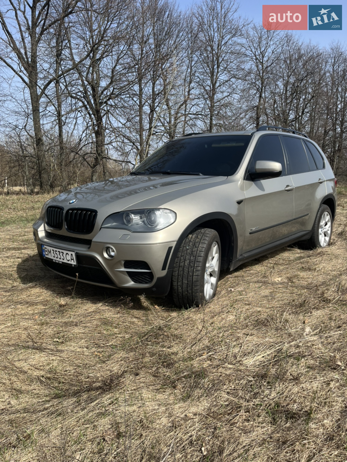 2010 BMW X5 - мініатюра 6