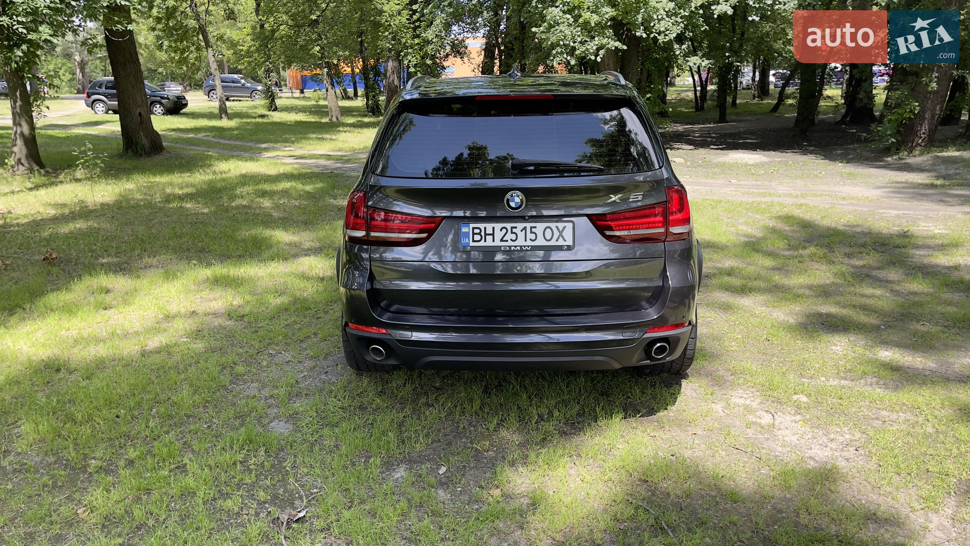 2014 BMW X5 - мініатюра 5