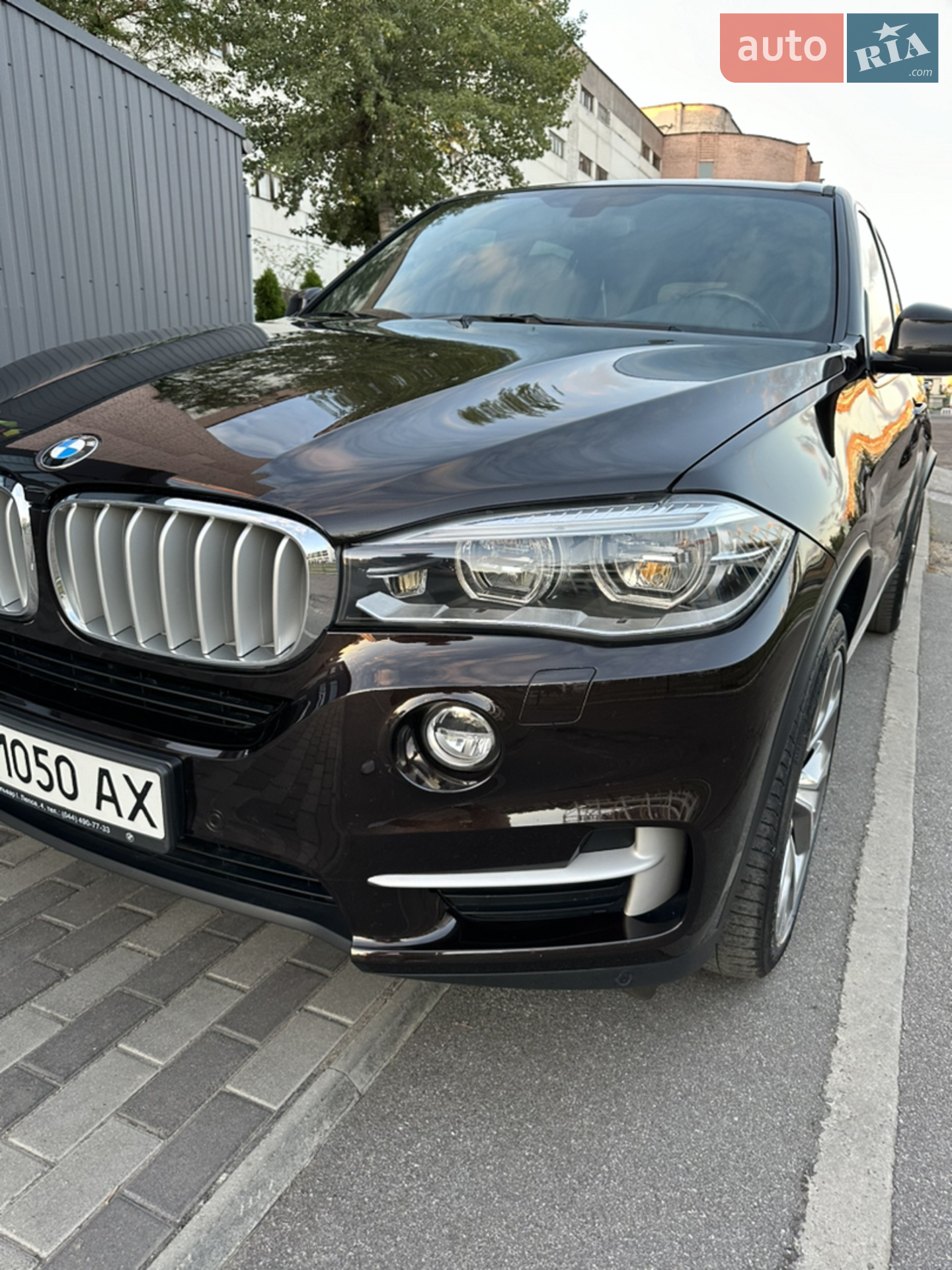 2013 BMW X5 - мініатюра 2