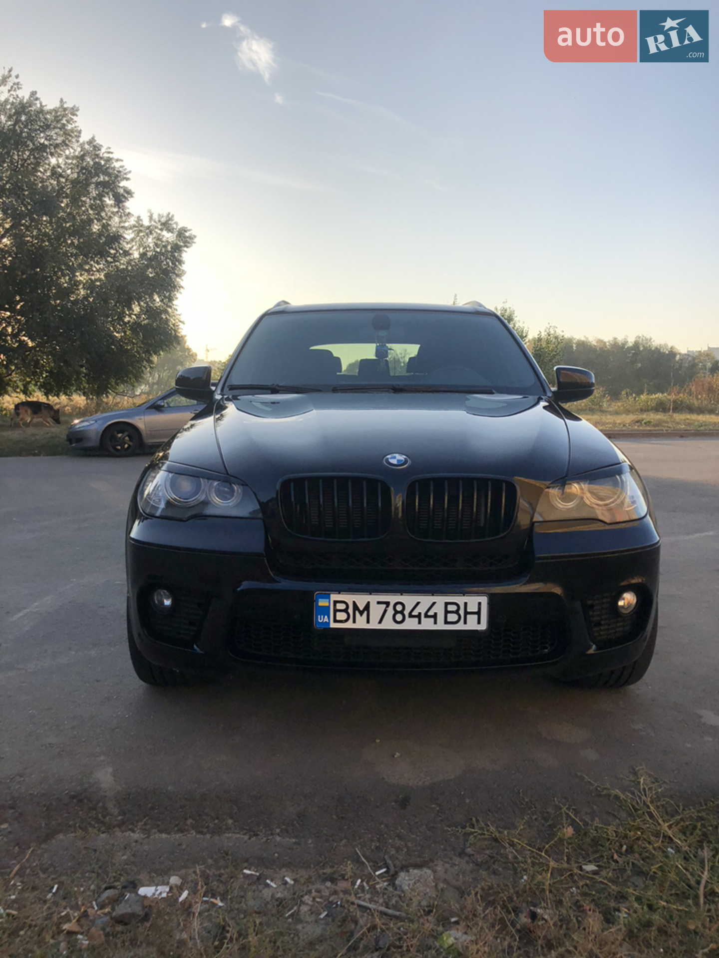 2010 BMW X5 - фото 1