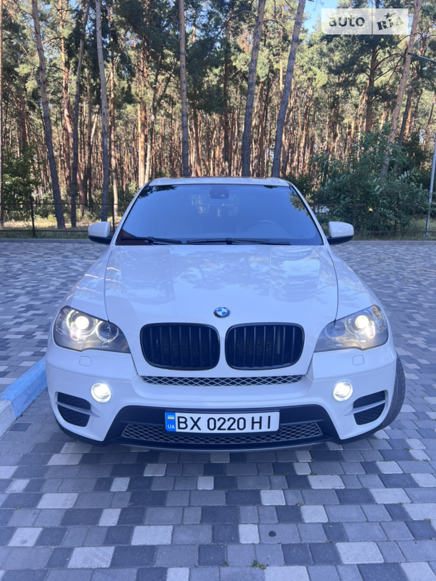 2011 BMW X5 - мініатюра 3