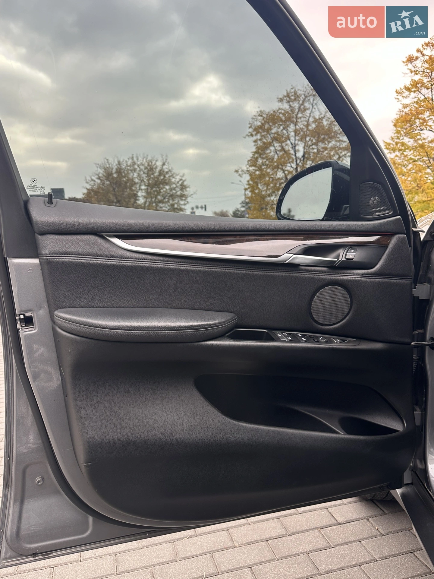2014 BMW X5 - мініатюра 29