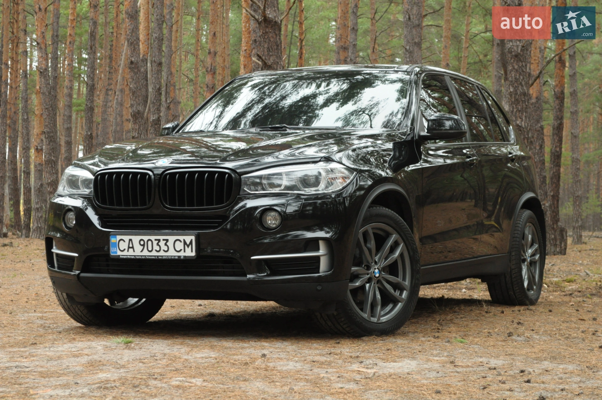 2015 BMW X5 - мініатюра 2