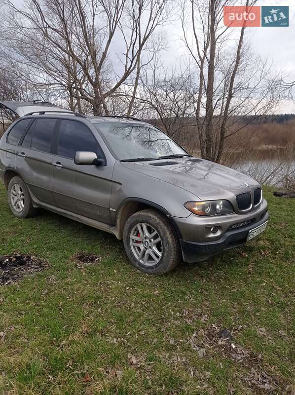 Внедорожник / Кроссовер BMW X5 2004 в 