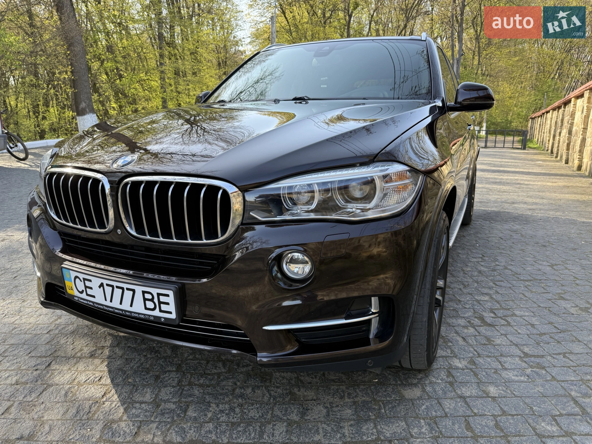 2014 BMW X5 - мініатюра 3