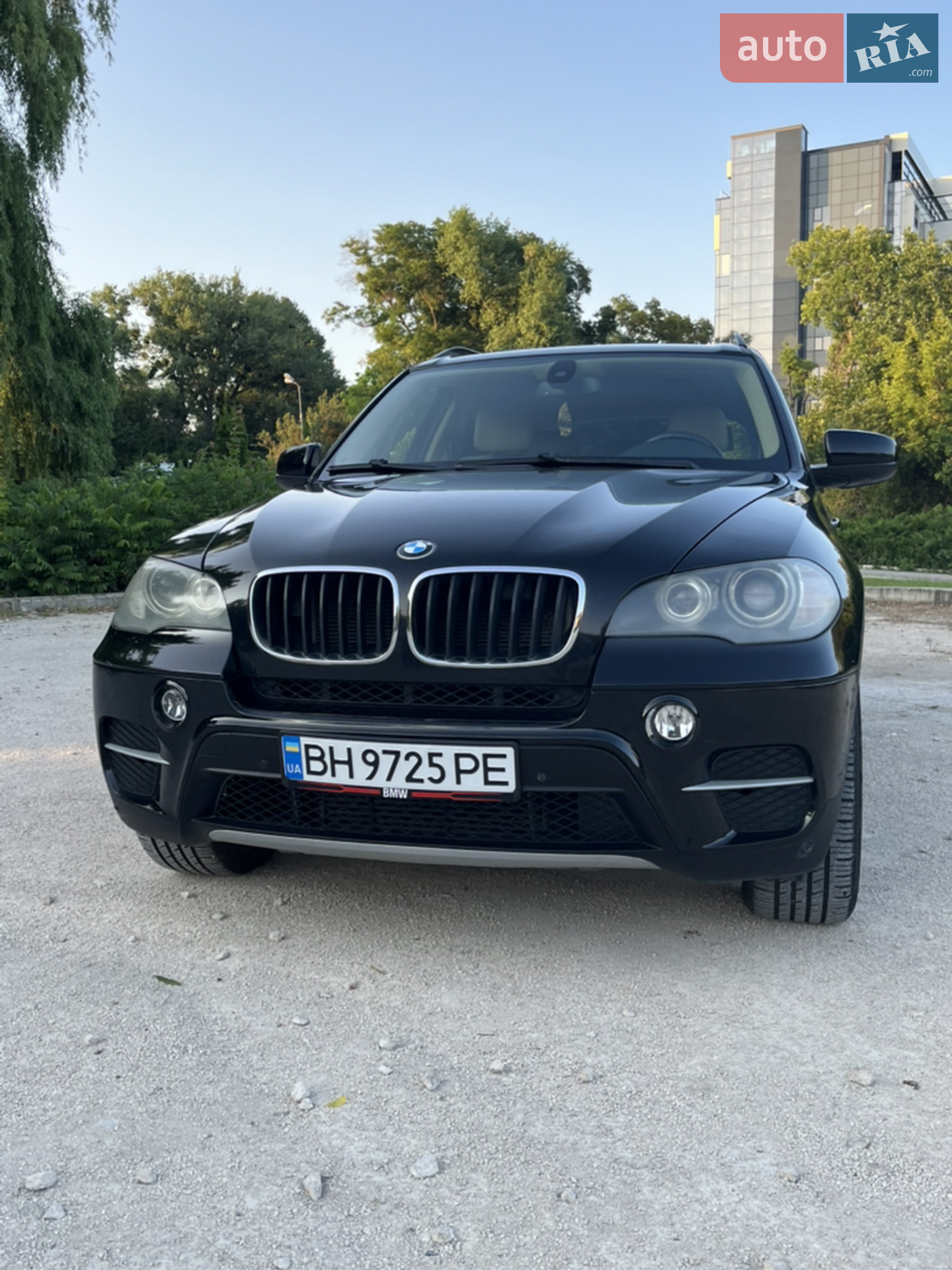 2010 BMW X5 - мініатюра 3