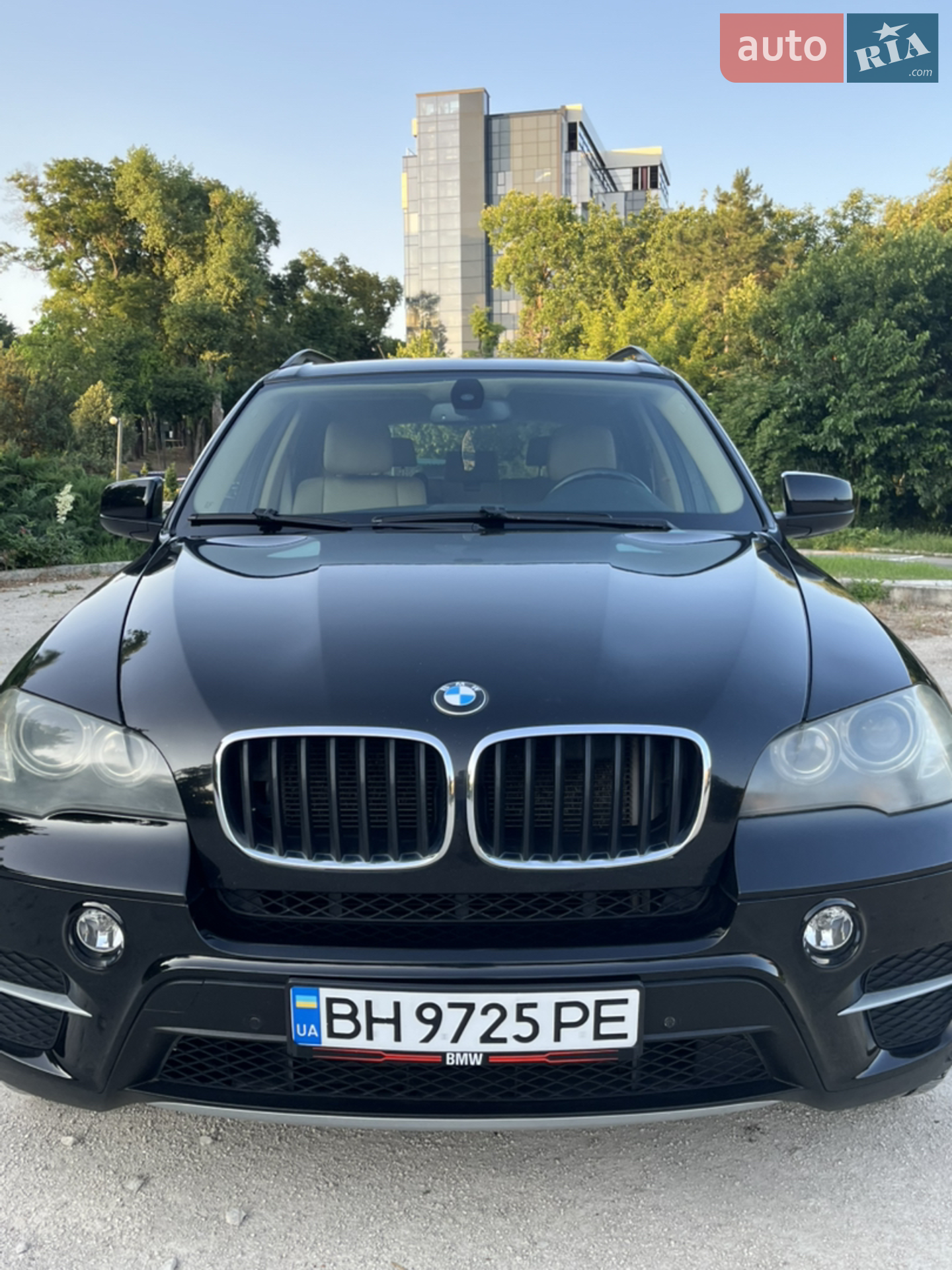 2010 BMW X5 - мініатюра 37