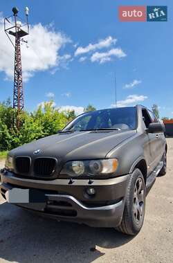 Позашляховик / Кросовер BMW X5 2003 в Нововолинську