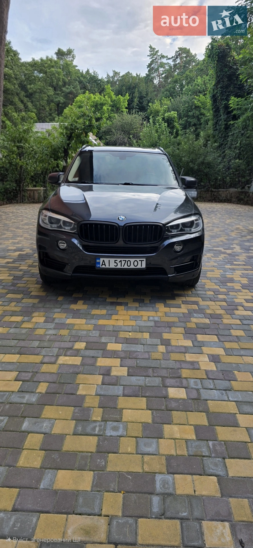 2014 BMW X5 - мініатюра 2