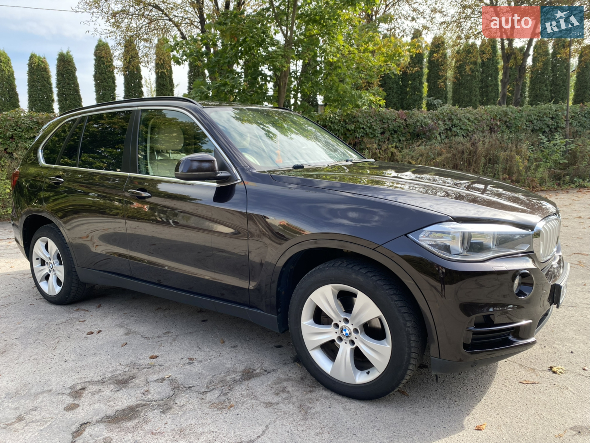 2013 BMW X5 - мініатюра 10